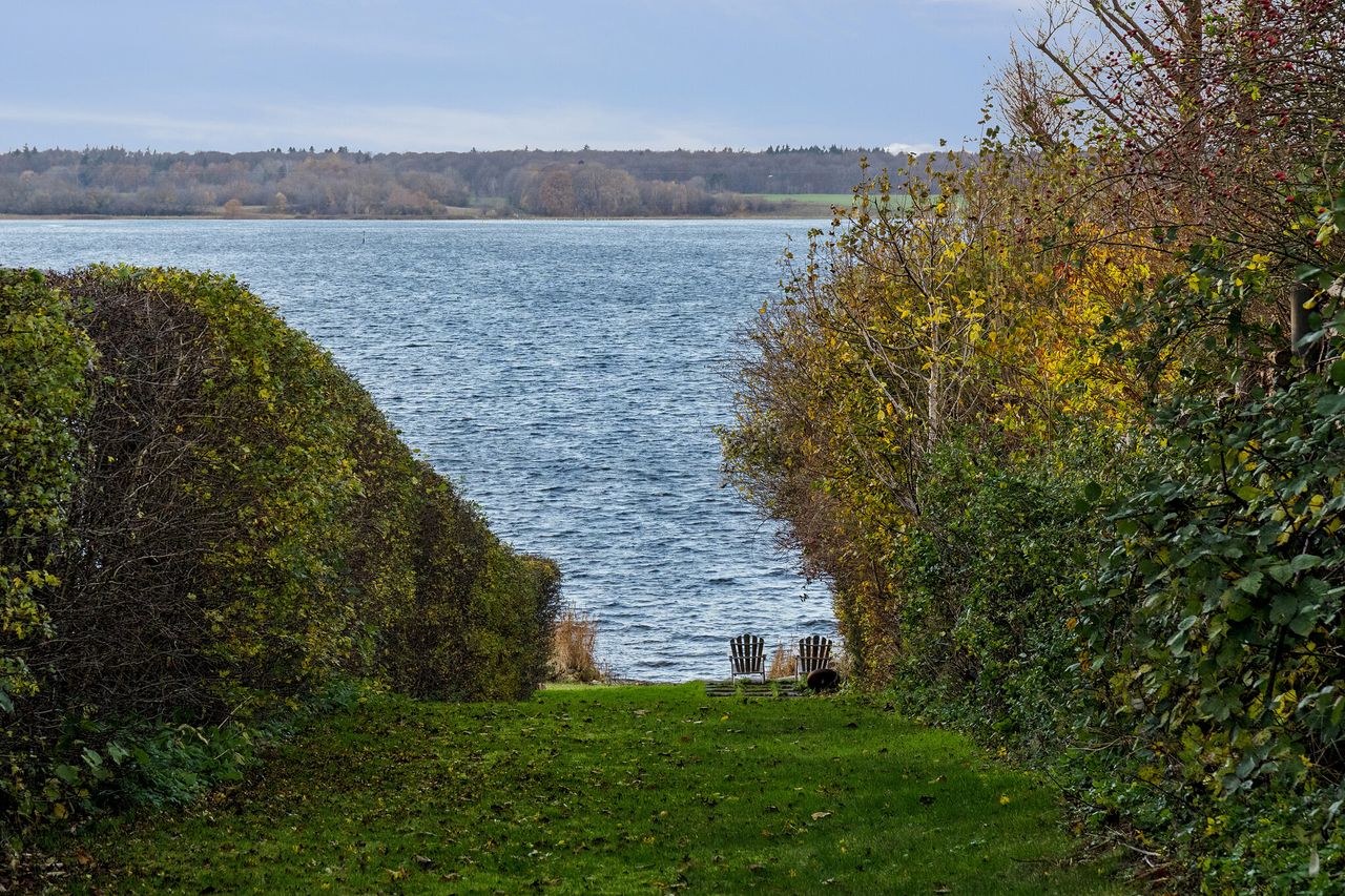image 04